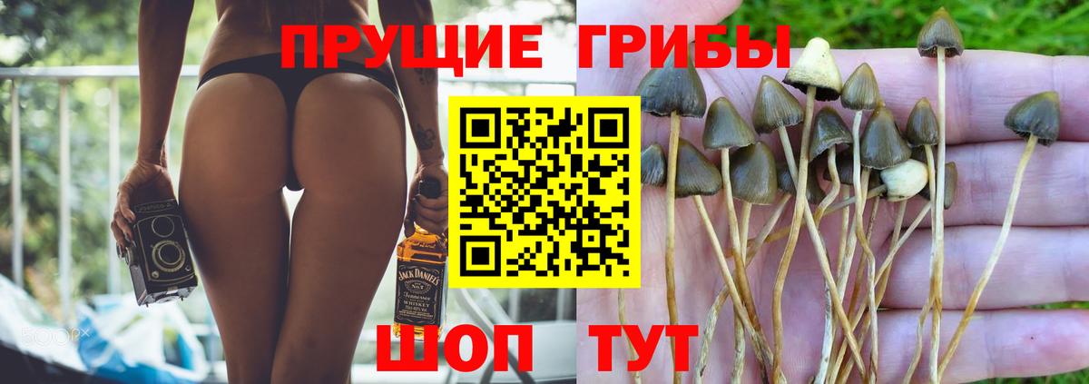 Галлюциногенные грибы мухоморы  Вход с VPN  Прохладный 